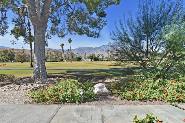 view of yard with a mountain view