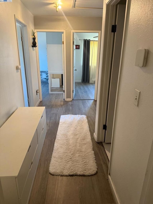 hallway with dark wood-type flooring