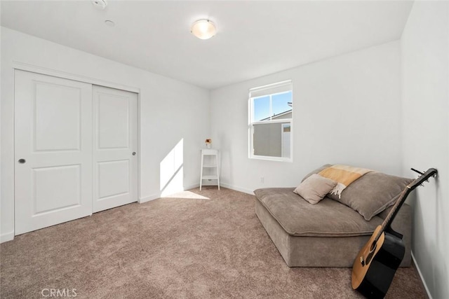 sitting room featuring carpet flooring