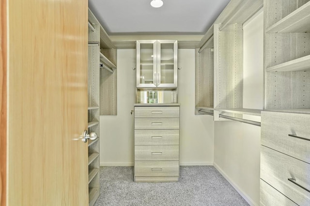 spacious closet featuring light colored carpet