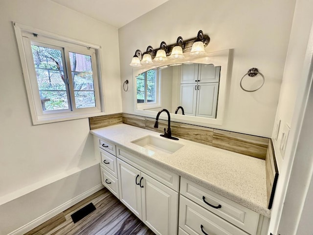 bathroom featuring hardwood / wood-style flooring, vanity, and a wealth of natural light