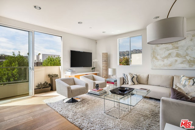 living room featuring light wood-type flooring