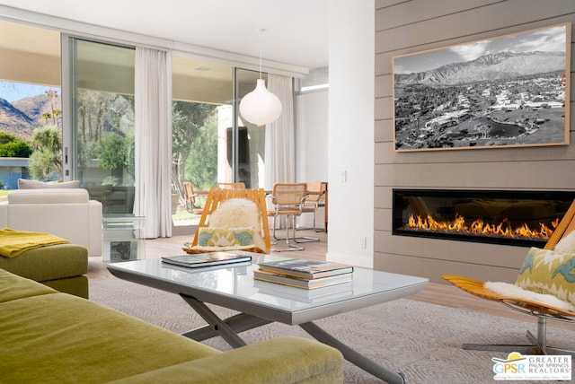 living room with a fireplace and hardwood / wood-style flooring