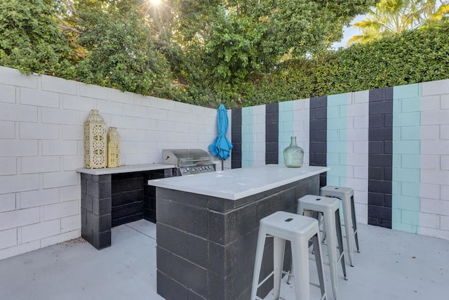 view of patio with grilling area, exterior bar, and exterior kitchen