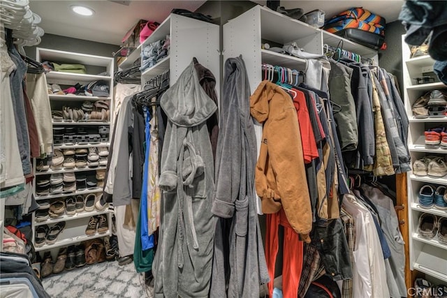 spacious closet with light colored carpet