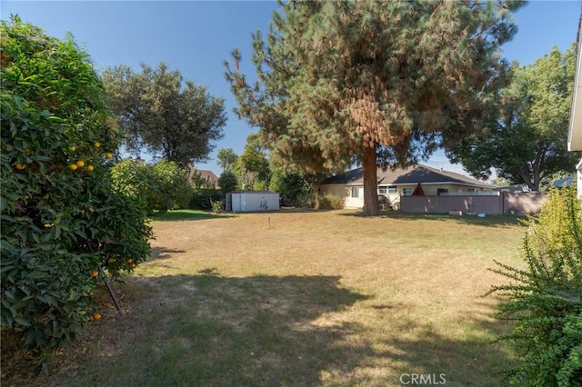 view of yard with a shed