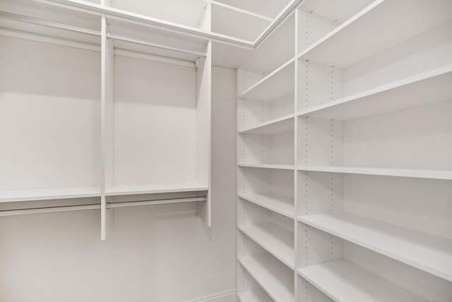 view of spacious closet