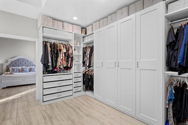 spacious closet with light wood-type flooring