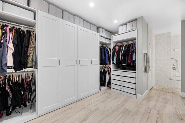 spacious closet featuring light hardwood / wood-style flooring