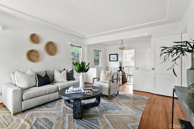 living room featuring hardwood / wood-style floors