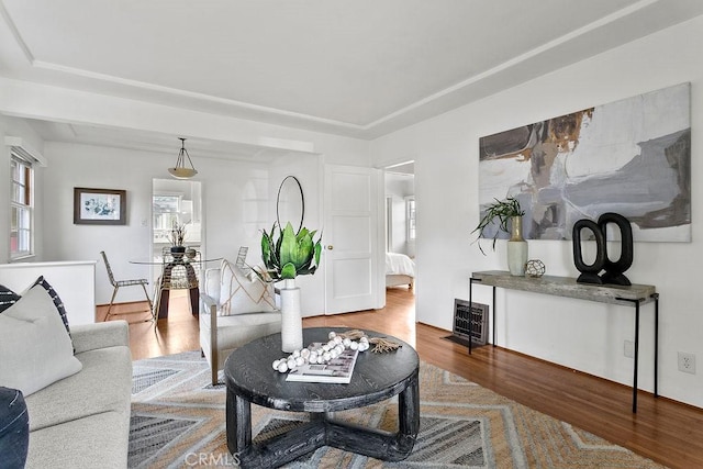 living room with hardwood / wood-style flooring