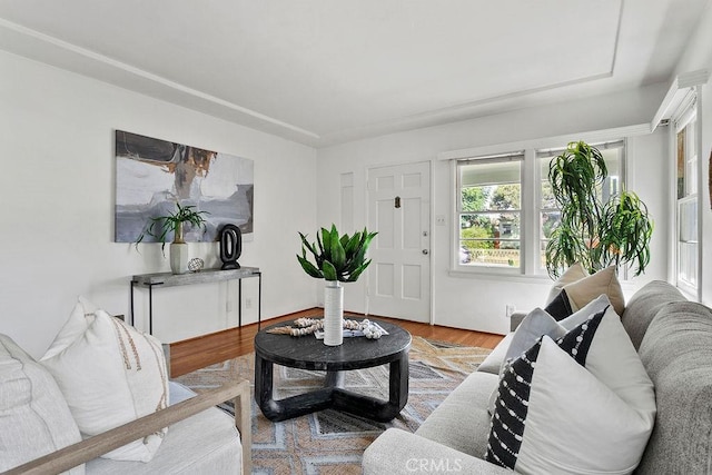 living room featuring light hardwood / wood-style flooring