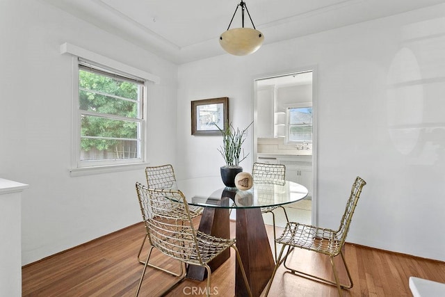 dining room with hardwood / wood-style floors