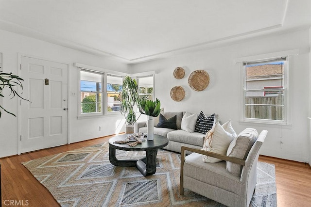 living room featuring hardwood / wood-style floors