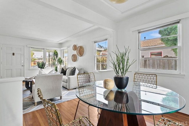 dining space featuring a healthy amount of sunlight and hardwood / wood-style floors