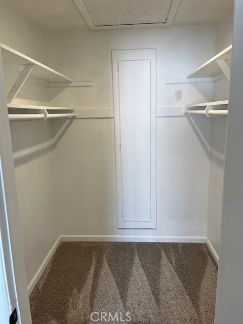 spacious closet with carpet