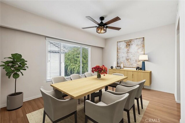 dining area featuring ceiling fan and light hardwood / wood-style floors