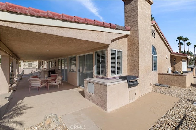 exterior space with exterior kitchen and a patio