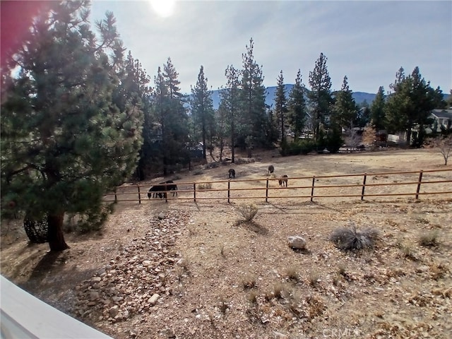 view of yard featuring a rural view and a mountain view