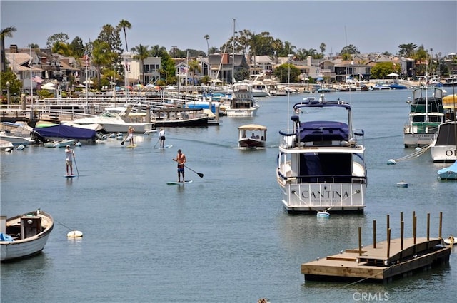 water view featuring a boat dock