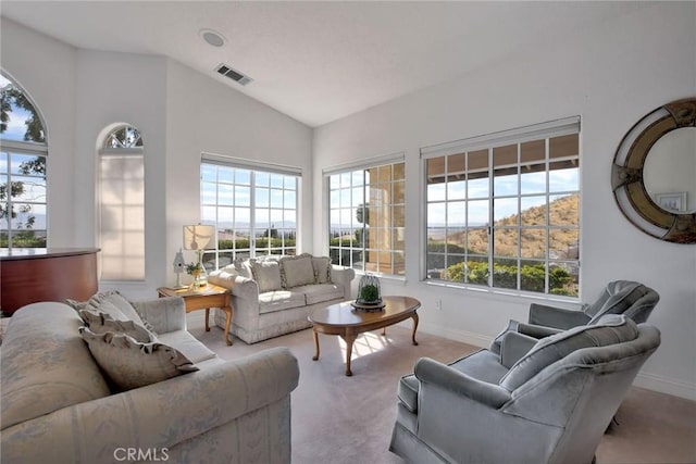 carpeted living room with lofted ceiling