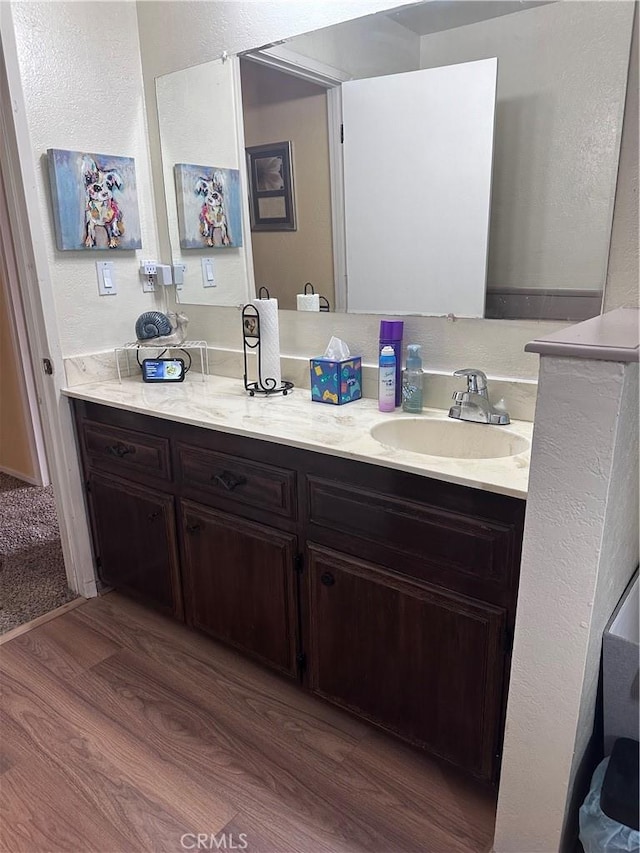 bathroom with hardwood / wood-style flooring and vanity