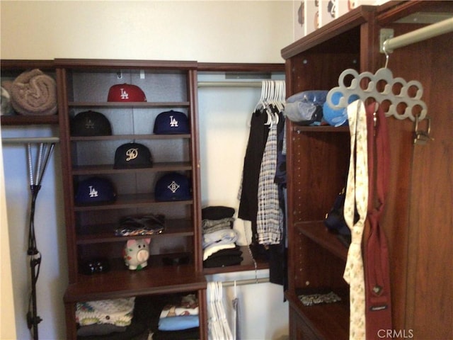 view of walk in closet