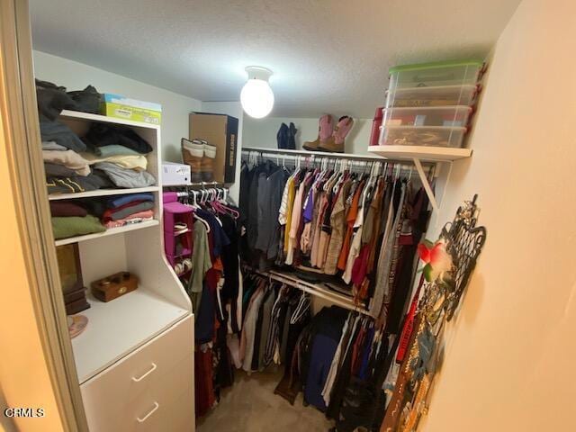 view of spacious closet