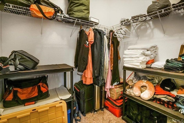 31616 Umbria Ln, Winchester, CA 92596 - view of walk in closet