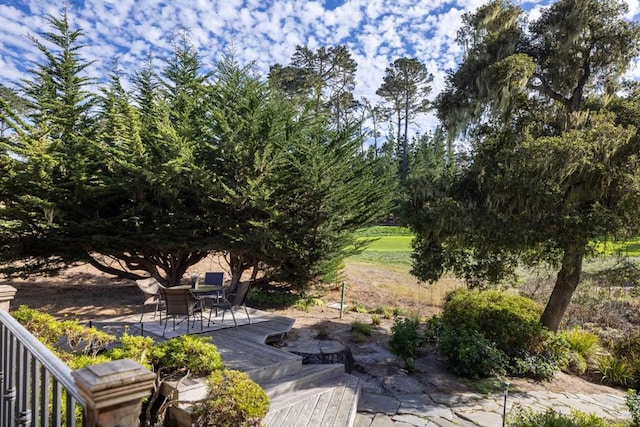 view of yard featuring a patio area