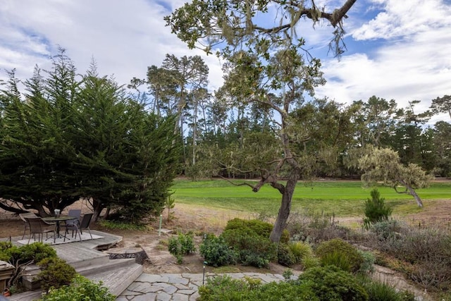 view of property's community featuring a lawn