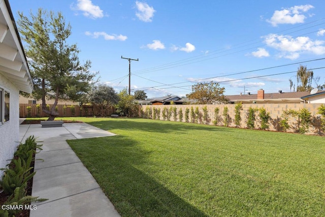 view of yard featuring a patio area