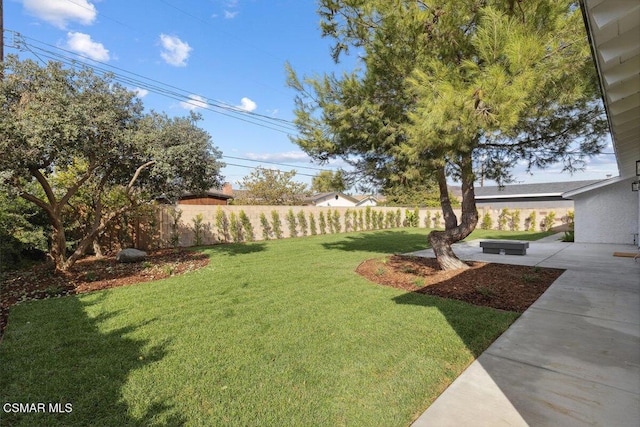 view of yard featuring a patio