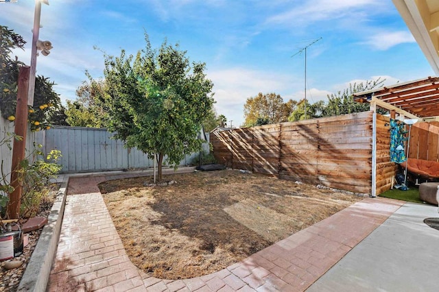 view of yard with a patio