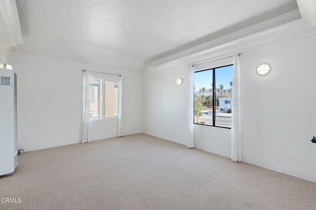 carpeted empty room featuring a wealth of natural light