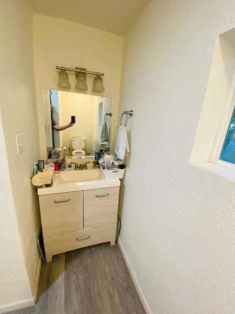 bathroom with vanity and wood-type flooring