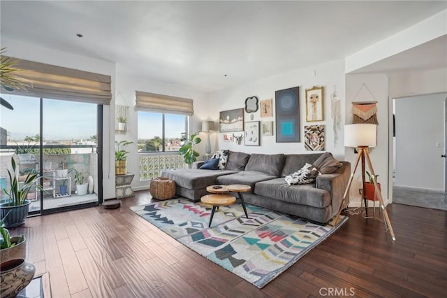 living room featuring dark hardwood / wood-style flooring