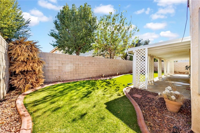 view of yard featuring a patio area