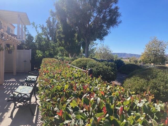 view of yard featuring a patio area