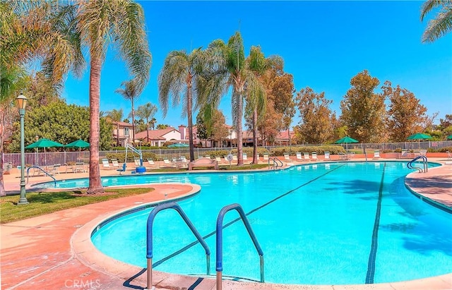 view of swimming pool featuring a patio