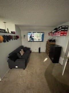 sitting room featuring carpet floors and a textured ceiling