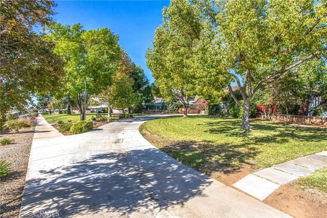 view of community featuring a yard