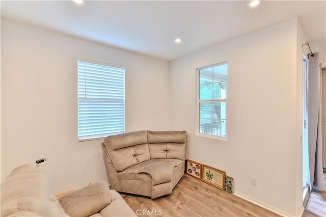 sitting room featuring light wood-type flooring and a healthy amount of sunlight