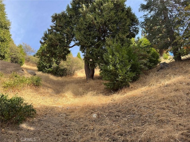 Listing photo 3 for 181 Fremont Dr, Lake Arrowhead CA 92352