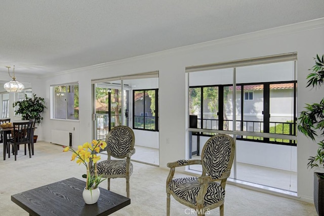 carpeted living room with radiator heating unit, french doors, crown molding, a chandelier, and a textured ceiling