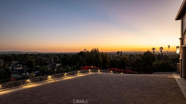 view of yard at dusk