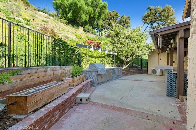 view of patio with an outdoor kitchen and a grill