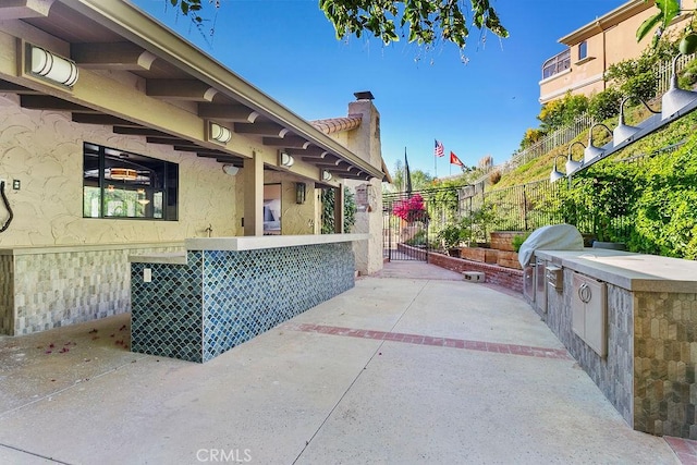 view of patio with an outdoor kitchen