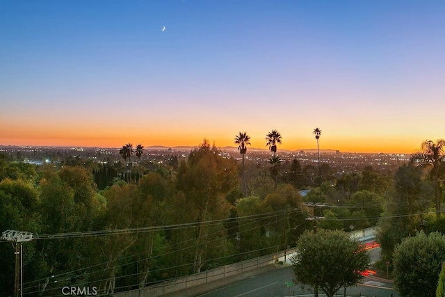 view of nature at dusk