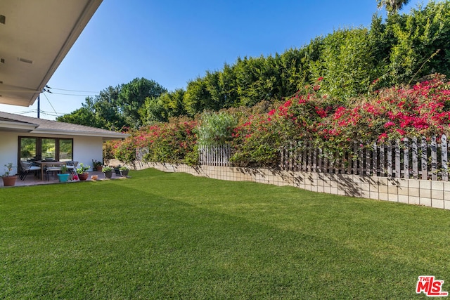 view of yard with a patio